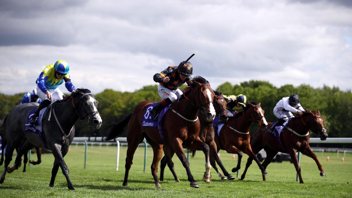Newmarket